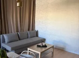 Cozy and chic apartment