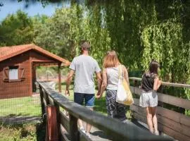 Chalet bois 1 Domaine Les Epinettes