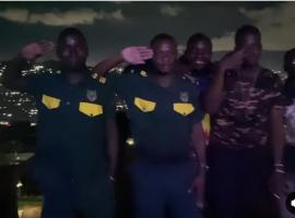 White House -Two palms, Villa in Kampala