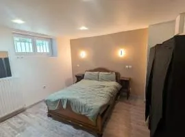 Appartement charmant à Charnay-lès-Mâcon avec jardin