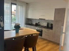 White Swan Apartment