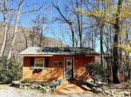 Secluded Mountain Cabin Retreat with Scenic Woodland Views near Black Mountain, NC