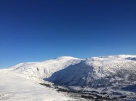 Voss-Oppheim Resort appartment witc acess to swimmingpool，&Oslash;yjordi的附設泳池的飯店