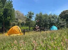 Muelle del Tiempo Camping