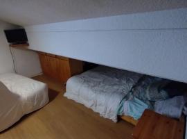 Studio 4 personnes pied des pistes, hotel din Auris