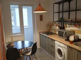 2 rooms on Train blvd, 2-комнатная на Ботанике, Кишинев