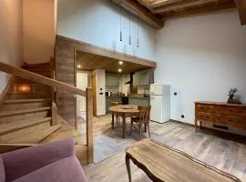 Appt 4 pers, 2 min Ski et Commerce