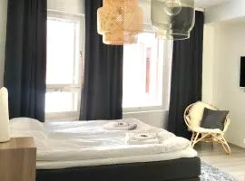 Kodikas yksiö, Salmela Free Wifi