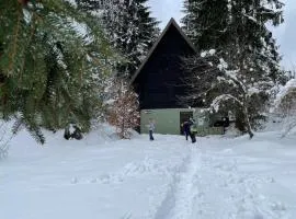 Romantic Forest House Tršće