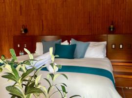 Hotel Boutique Casa Gopar，Ocotl&aacute;n de Morelos的有熱水按摩池的飯店