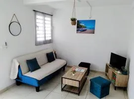 Abricotier à proximité des plages du sud