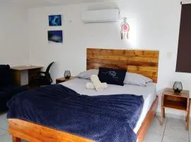 Equipped Yaxkin Studio on downtown, 3 blocks away from sea, close to restaurants