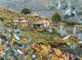 Casiña Raíz Entre viñas y cielo Ribeira Sacra, hotel em Chantada