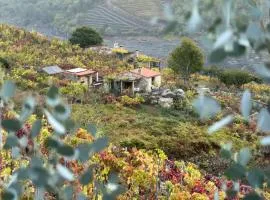 Casiña Raíz Entre viñas y cielo Ribeira Sacra