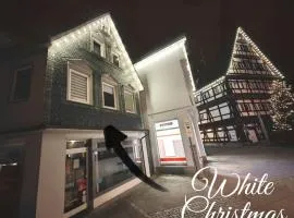 Stadtmitte Apartment im historischen Viertel -100qm Wohnfläche & 30qm Dachterrasse