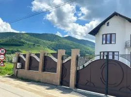 Gura Raului Casa de Vacanta