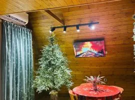 Mountain Shadow Cottage in Racha