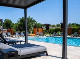 Chalet by Park Pond in the Netherlands