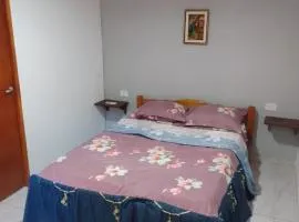 Monoambiente céntrico