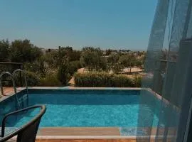 majestic tiny home with private pool