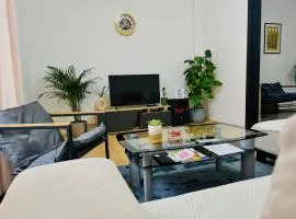 Black and Ginger Residence