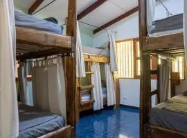 Tropical Camas Surf House