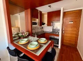 Moderno Apartamento a pasos del Metro y Museo Bellas Artes, Cerro Santa Lucia, Barrio Lastarria