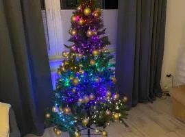 Harzperle 1 II zentrales 3 Zi Apartment II Familien