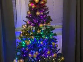 Harzperle 3 II zentrales 3 Zi Apartment II Familien