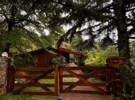 Cabaña Alpina con Terraza Panorámica