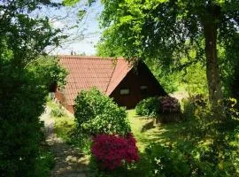 Holiday home in Süttorf with swimming pool