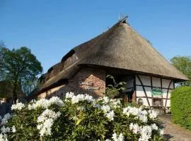 Superior Studio in the Manor House