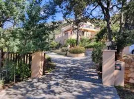 Holiday apartment in Lumio with swimming pool