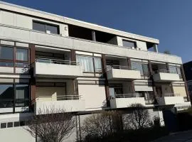 Seagull Seagull's Nest Scharbeutz