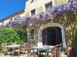 Syrah - Domaine La Flotte