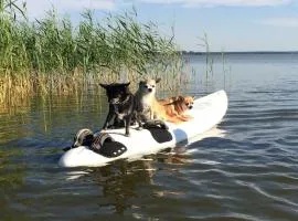 Darss holiday with and without a dog