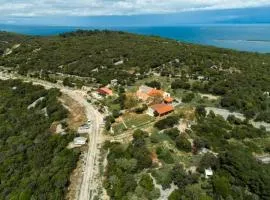 Apartments with parking space Bonic, Losinj - 23056