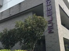 Mulberry Life Apartments