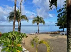 Tropical Jungle House