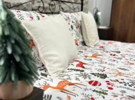 Loft dei Ciclopi Ferentino