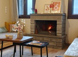 Metsovo Fireplace Retreat I，位于美特索文的酒店
