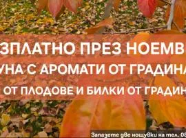 Galeria In The Garden