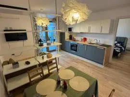 Central monarch 1 P&P Residence