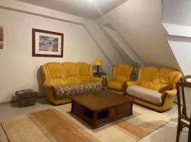 Appartement cosy au cœur de Colmar