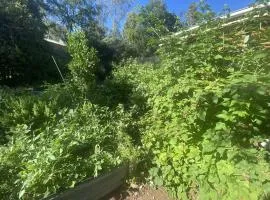 Food Forest Retreat