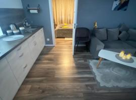 Trumpalaikė Nuoma-Apgyvendinimas, sz&aacute;ll&aacute;s Roki&scaron;kisben