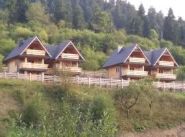 Góralskie domki pod Koronami，位于克罗奇琴科的酒店