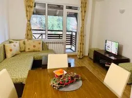 Forest Retreat, Stream Resort, Pamporovo