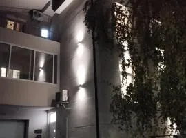 VauDa White apartman