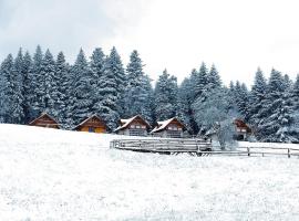 Domki w Kasinie, hotel v destinaci Kasina Wielka